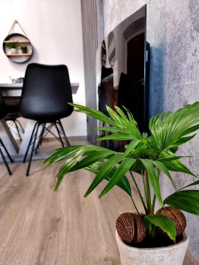 Apartament Jelonek W Karkonoszach Jelenia Gora Dış mekan fotoğraf