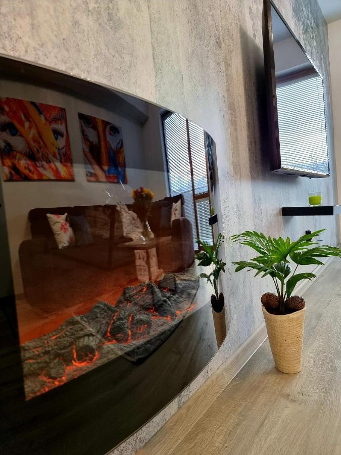 Apartament Jelonek W Karkonoszach Jelenia Gora Dış mekan fotoğraf