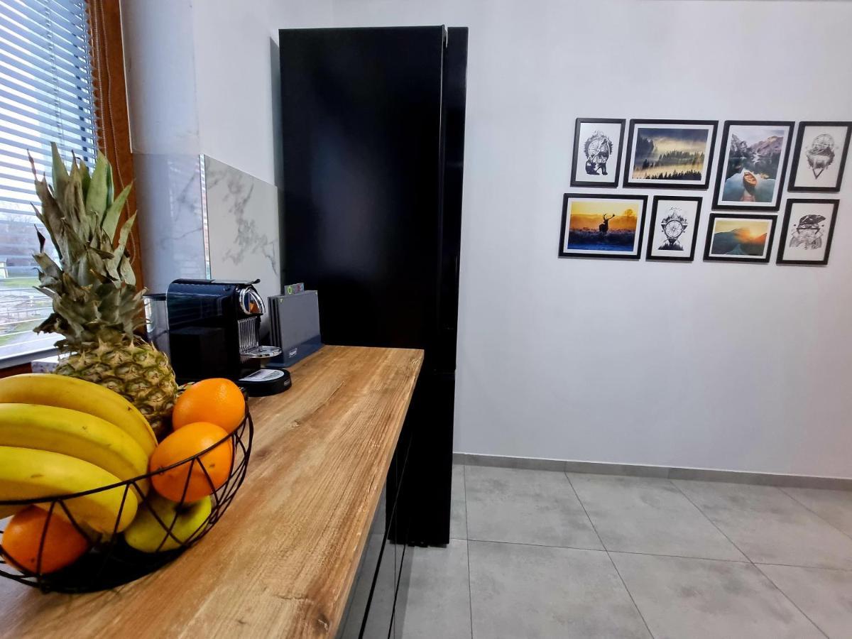 Apartament Jelonek W Karkonoszach Jelenia Gora Dış mekan fotoğraf