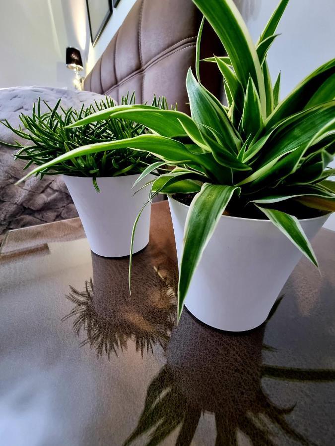 Apartament Jelonek W Karkonoszach Jelenia Gora Dış mekan fotoğraf